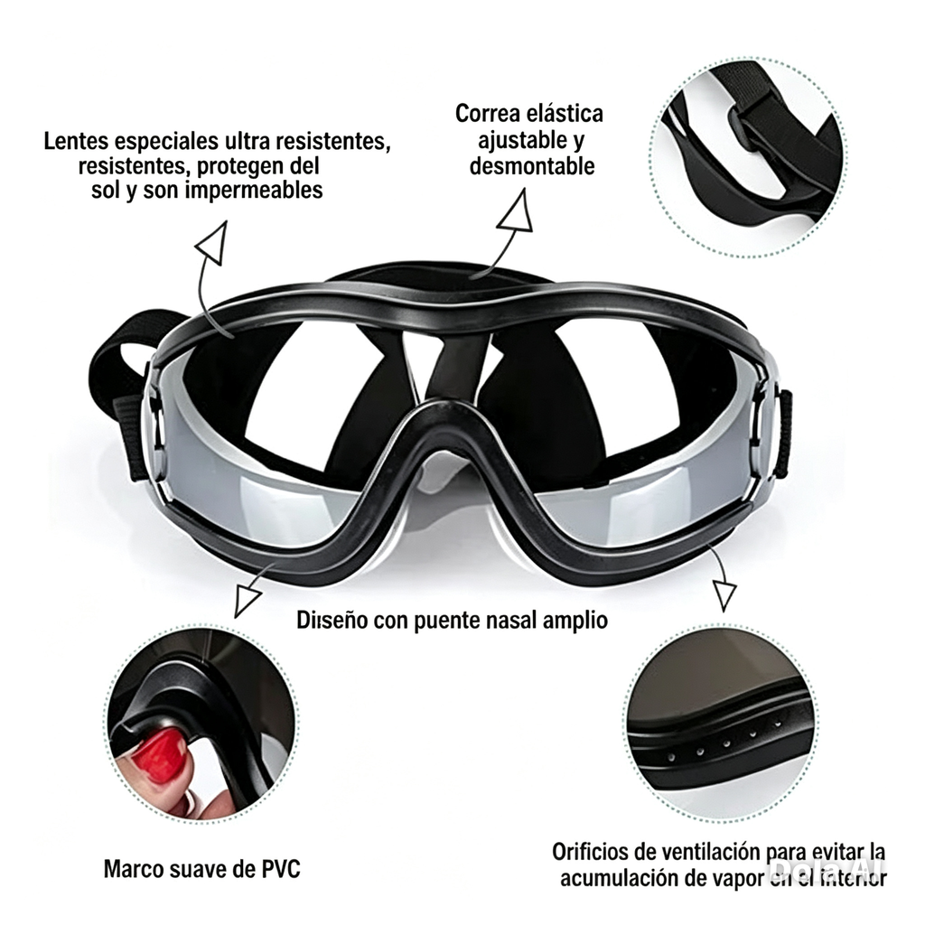 Gafas para Perros
